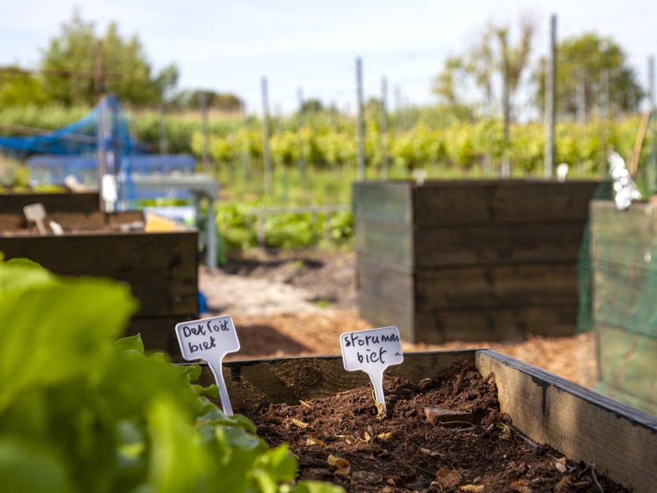 Vacature medewerker dagbesteding