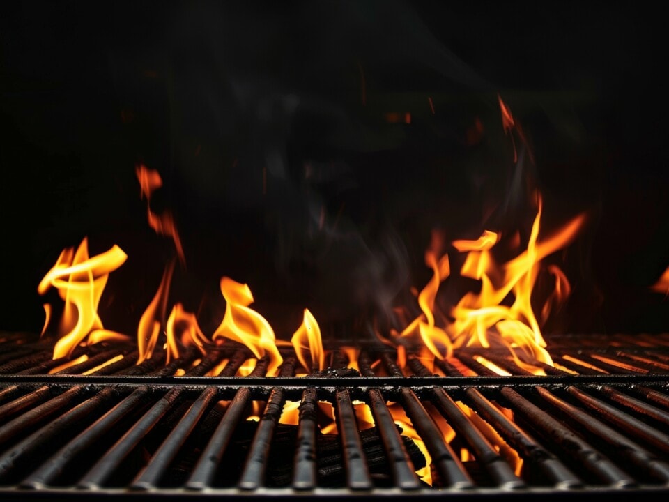 Dutch Wild op 21, 22 en 23 november 2025